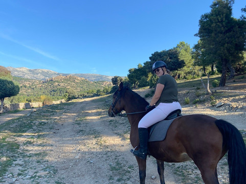 Dreampeaks-马德里必去景点