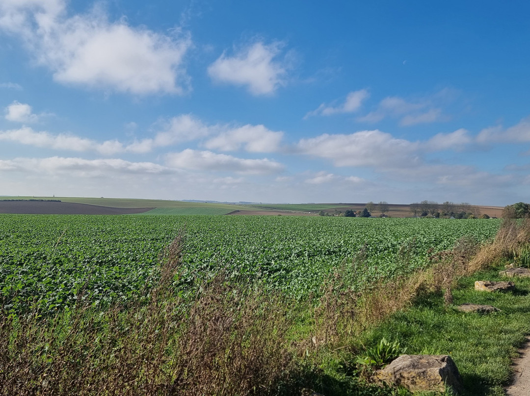 Chemins d'Histoire Battlefield Tours景点图片