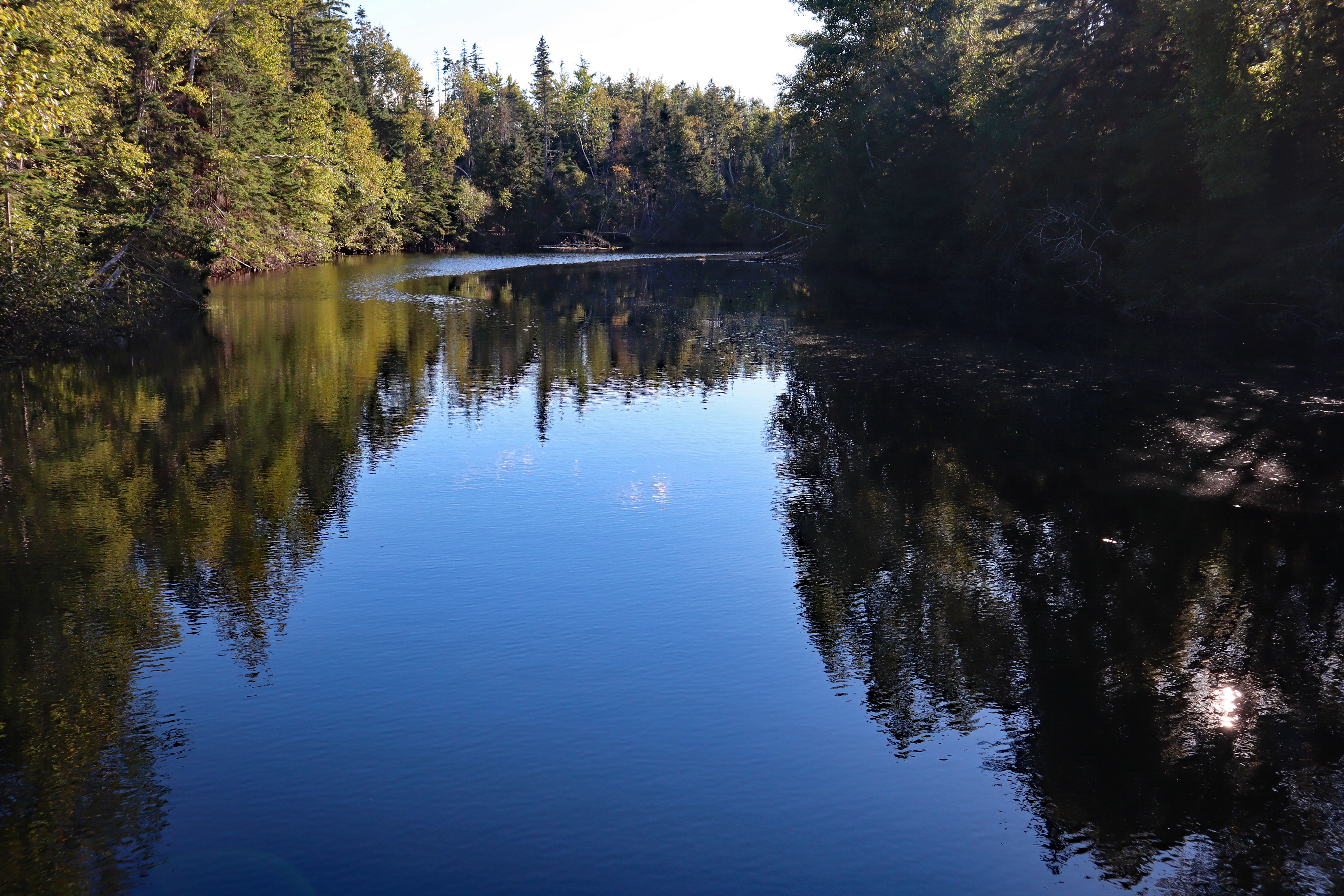 Forest & Lake PEI Bed & Breakfast-浴室