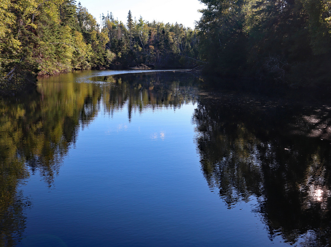 Forest & Lake PEI Bed & Breakfast主图