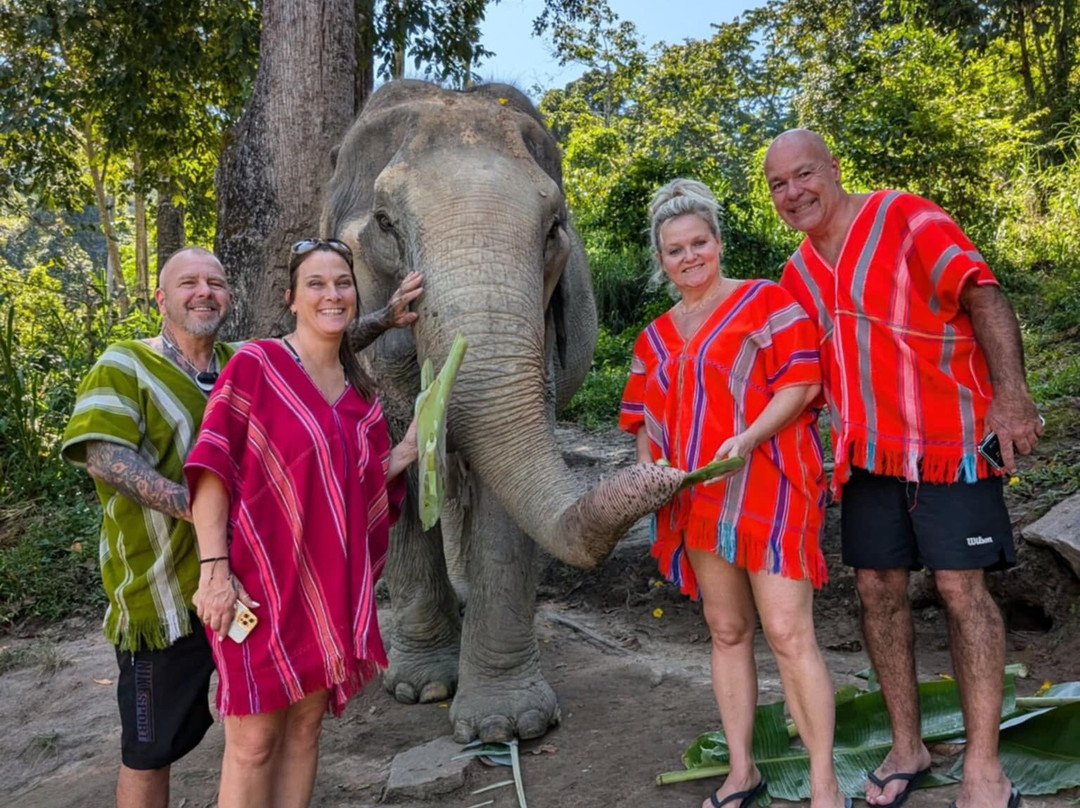 Chiangmai Elephant Sanctuary-清迈必去景点