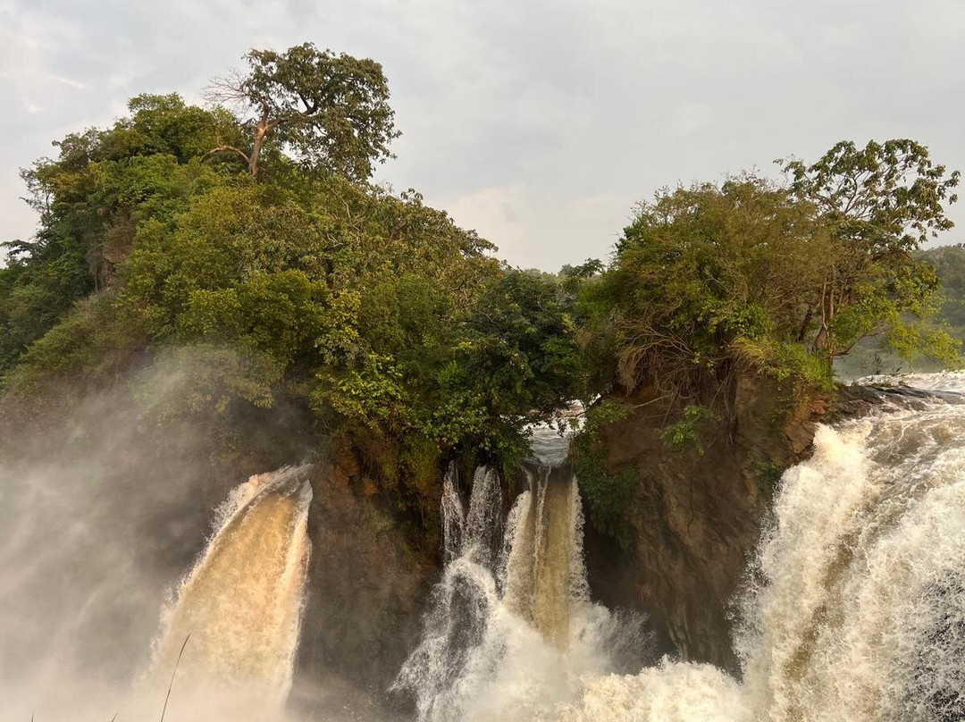 Ishamba Gorilla Tours and Eco-Safaris-Mbale必去景点