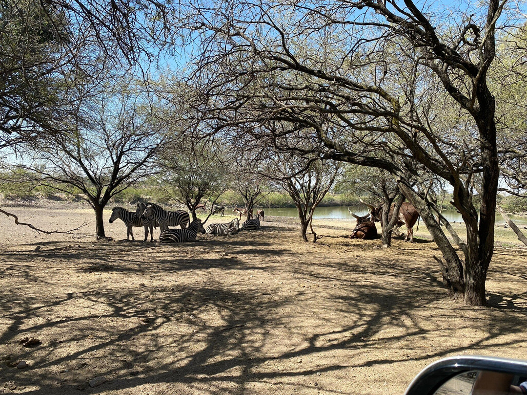 Parque Zoológico de León-利昂必去景点