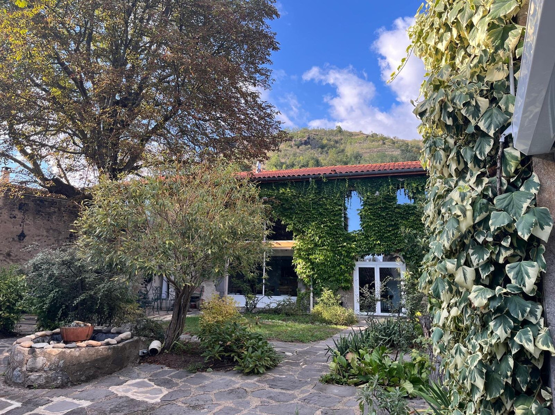 La Cour Carree主图