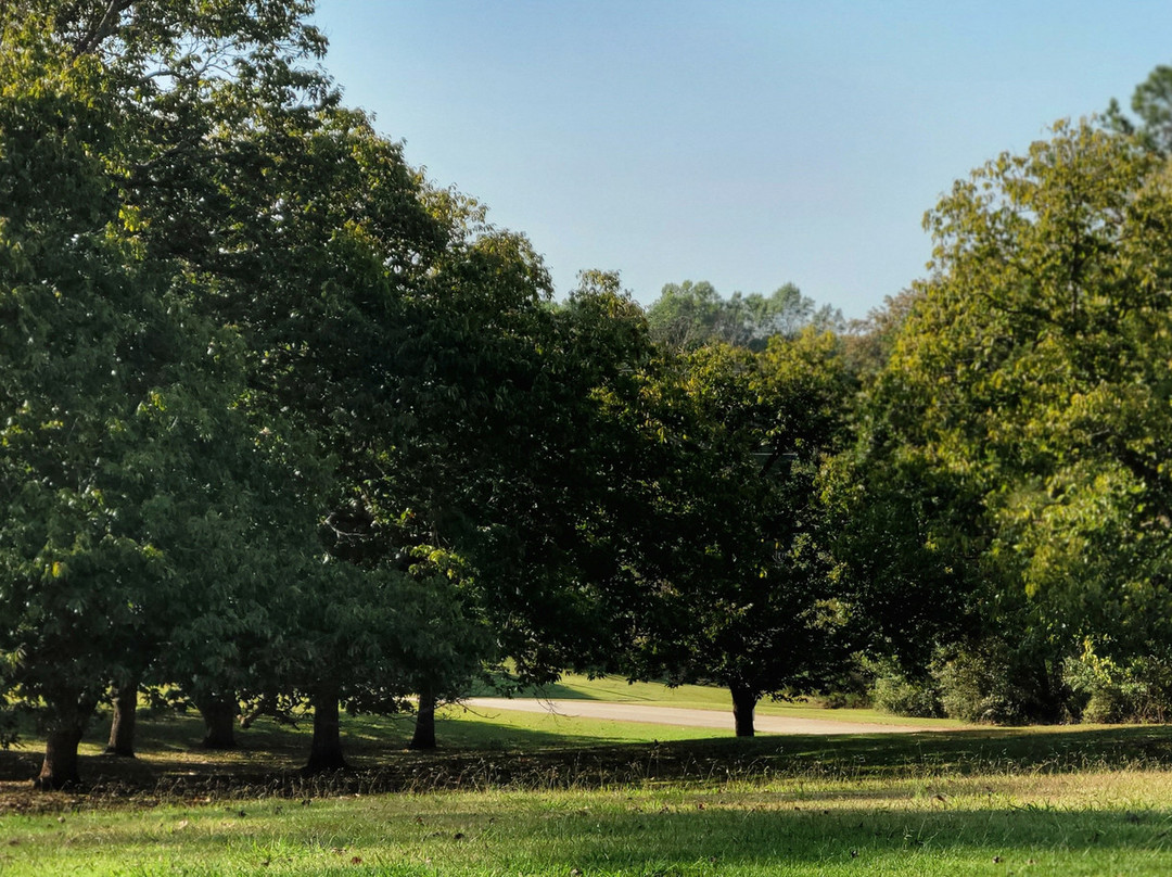Monastery of the Holy Spirit-Conyers必去景点