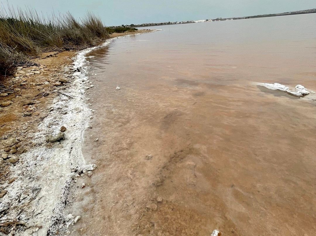 Laguna Salada de Torrevieja-托雷维耶哈必去景点