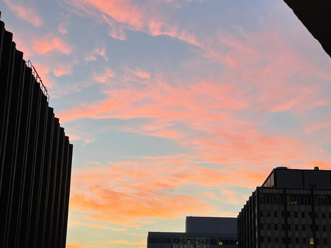 温莎套房酒店主图