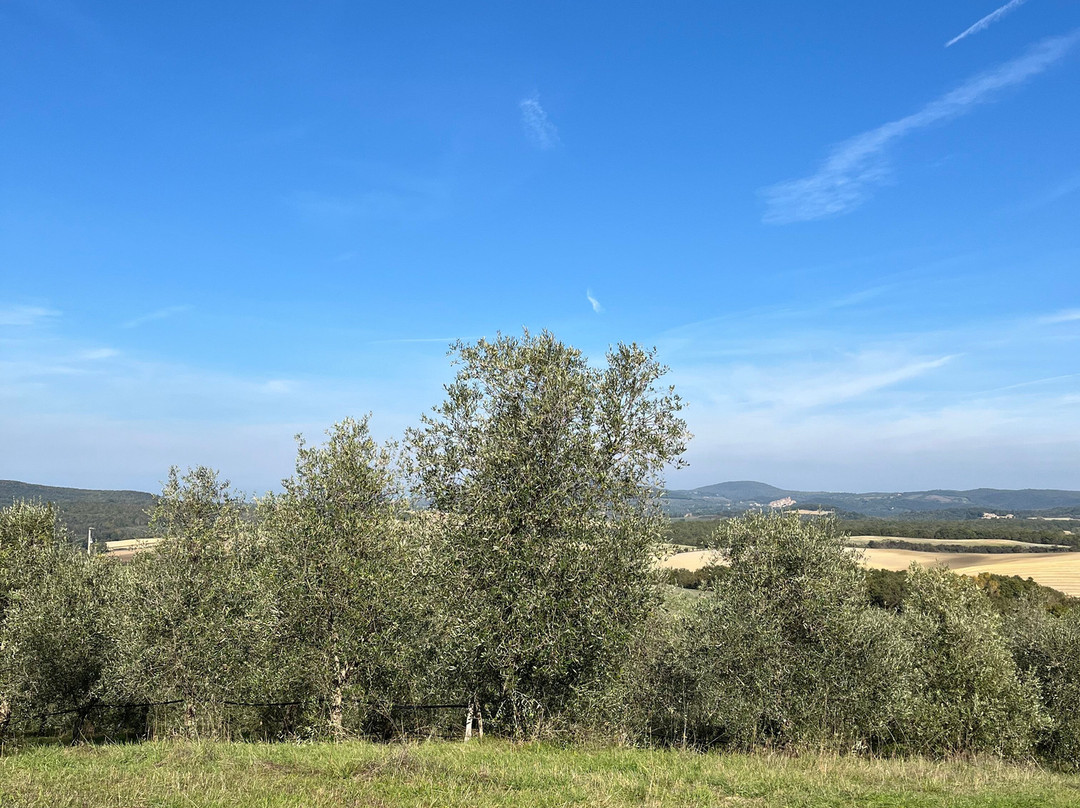 Azienda Agricola Invidia-皮恩扎必去景点
