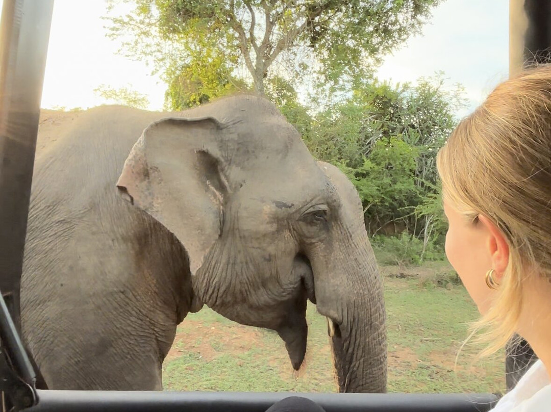 雅拉国家公园观赏野生动物-雅拉国家公园必去景点