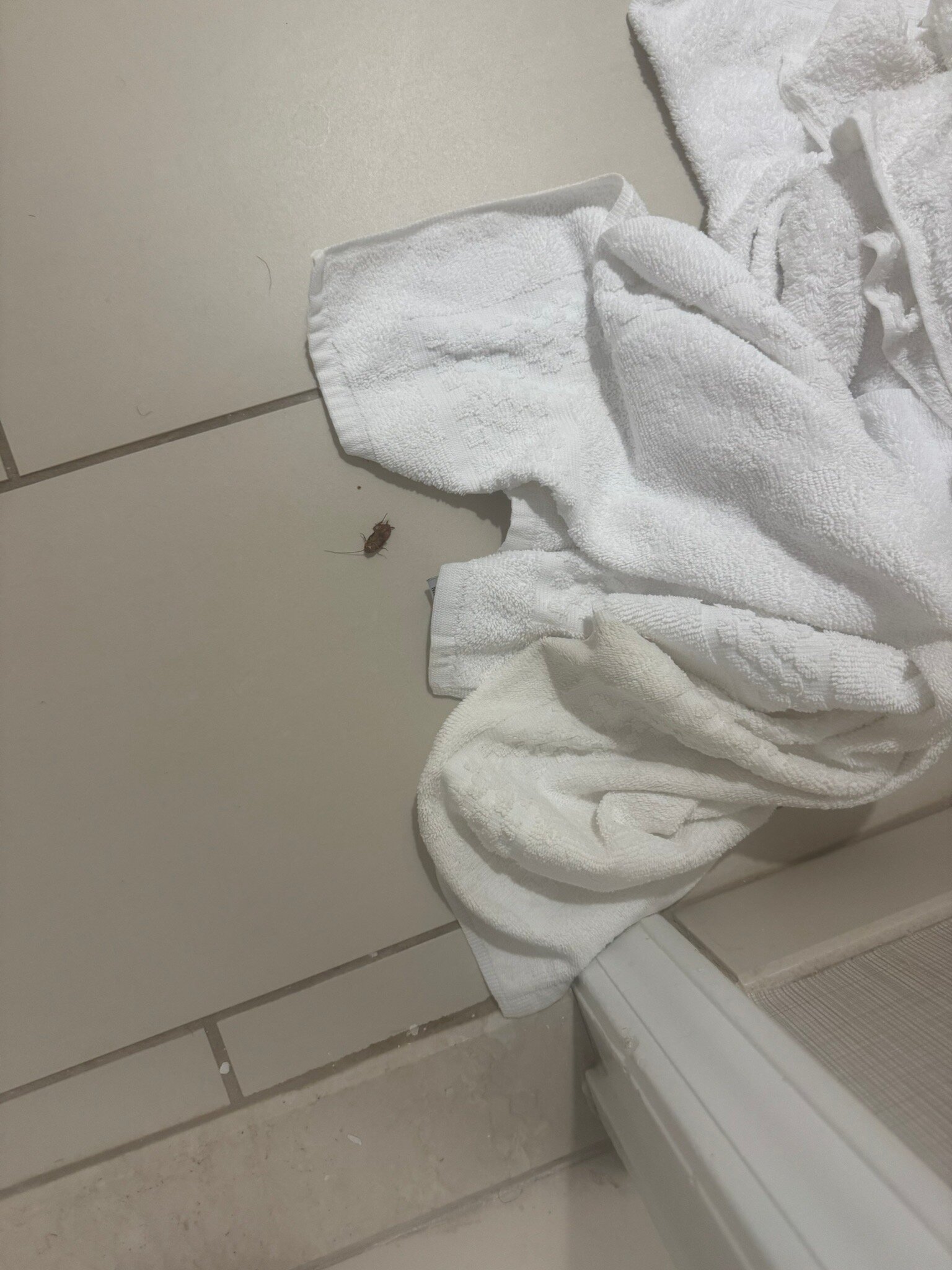 Residence Inn by Marriott Columbia Northwest/Harbison-官方