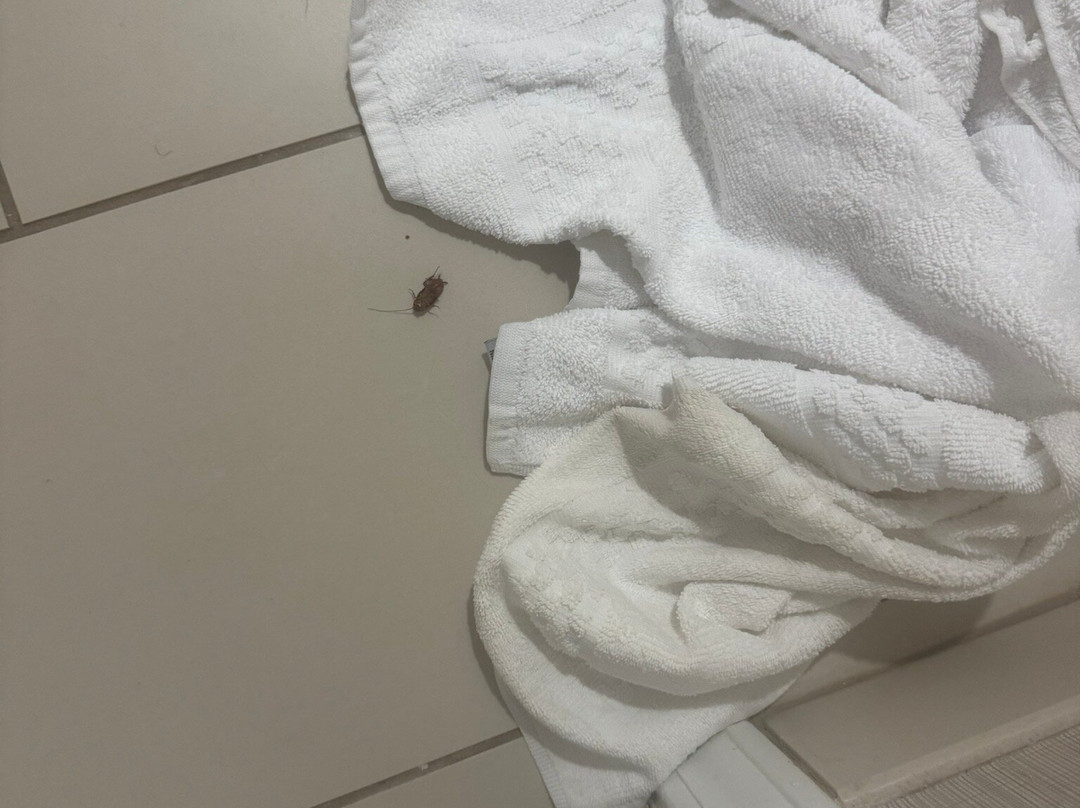 Residence Inn by Marriott Columbia Northwest/Harbison主图