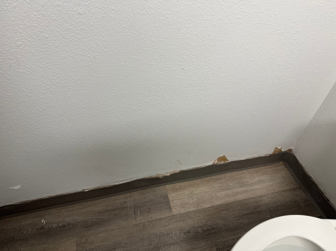 Hartselle酒店住宿-La Quinta Inn by Wyndham Decatur