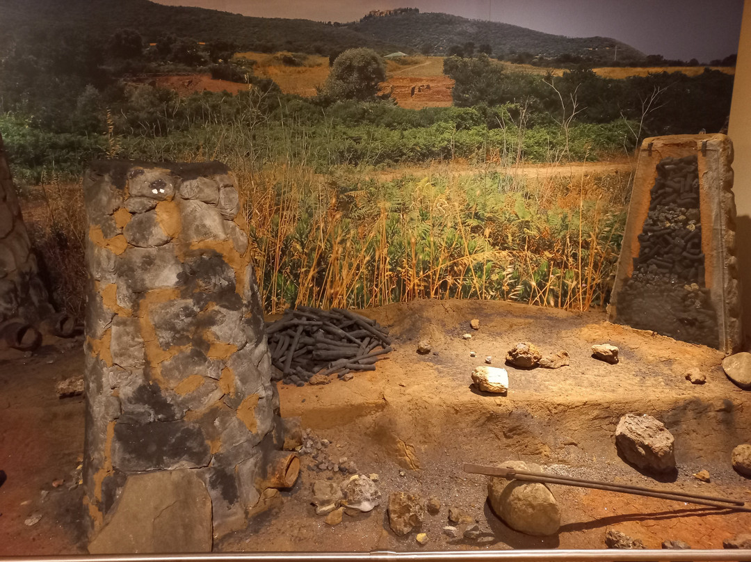Museo archeologico del Territorio di Populonia景点图片