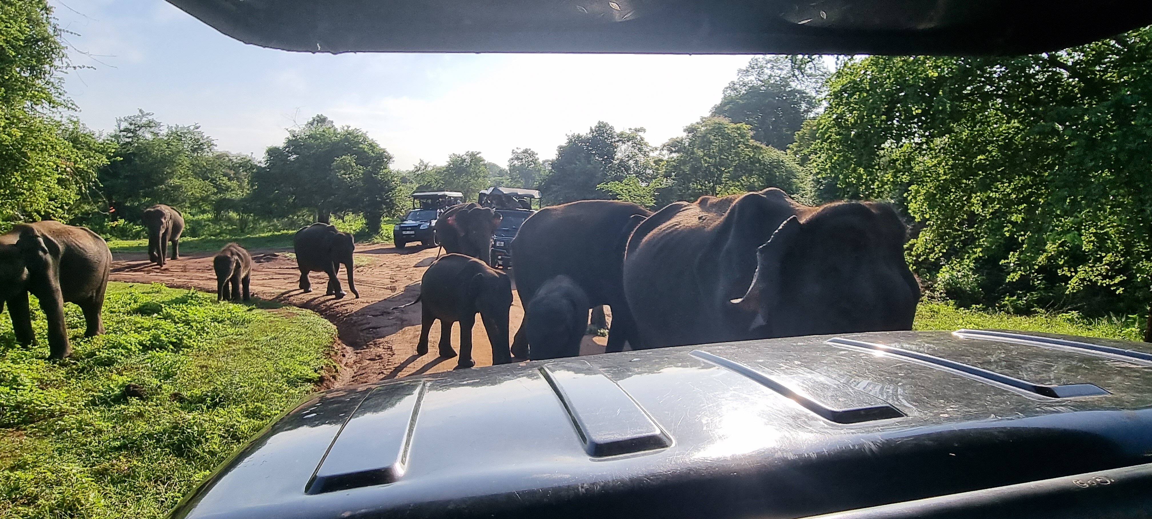 Amba Kola Udawalawa-官方