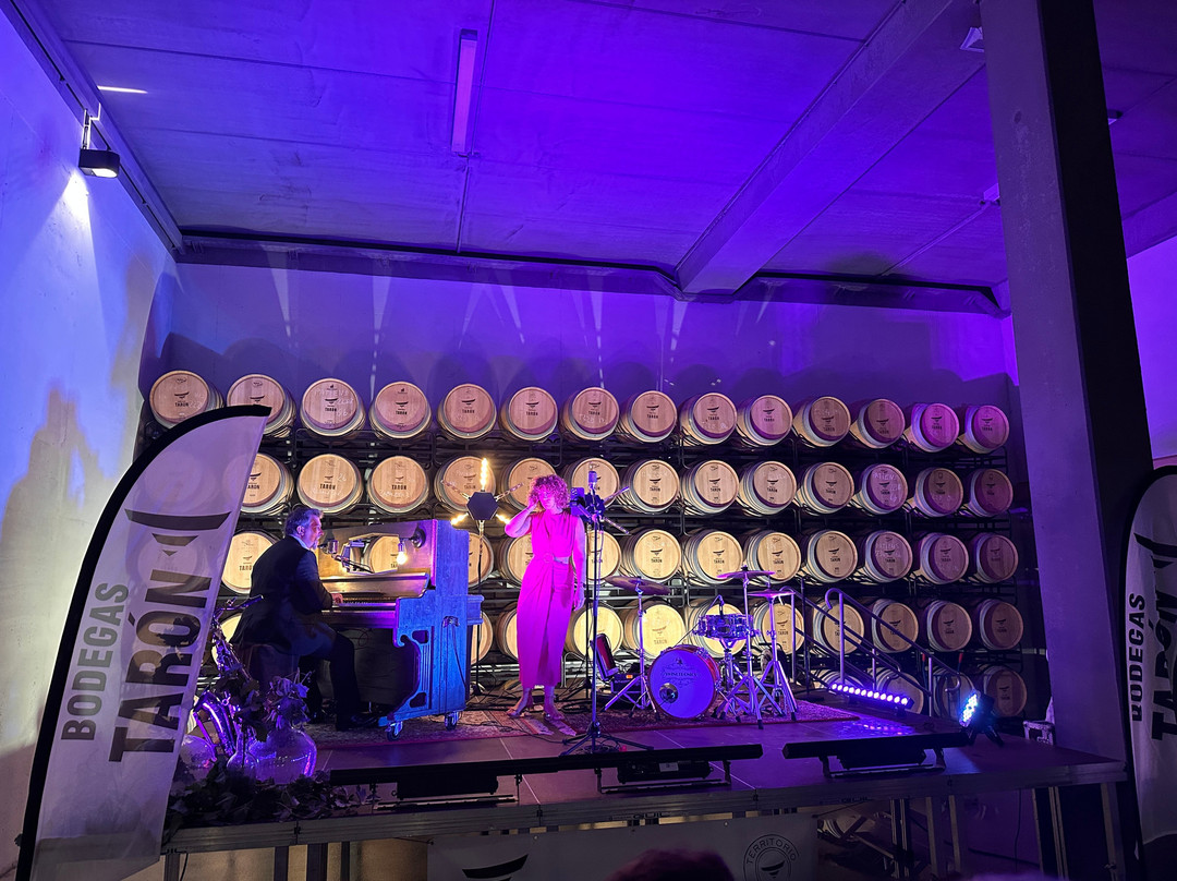 BODEGAS TARÓN-Tirgo必去景点