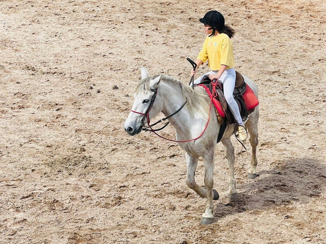 Rancho do Tinho-坎普斯－杜若尔当必去景点
