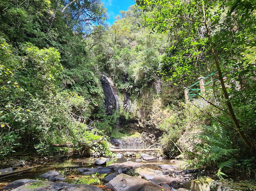 Parc Nationale Montagne D'ambre景点图片