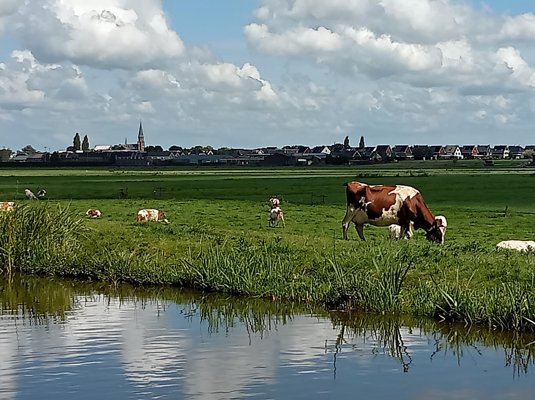 Sint-Petrus en Pauluskerk Reeuwijk景点图片