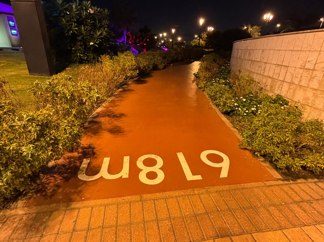 Flag Island-沙迦必去景点