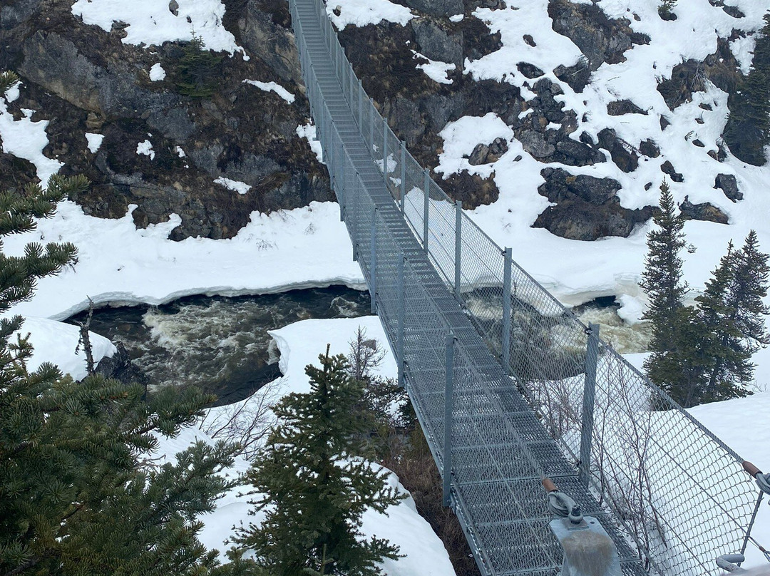 Yukon Suspension Bridge-白马市必去景点