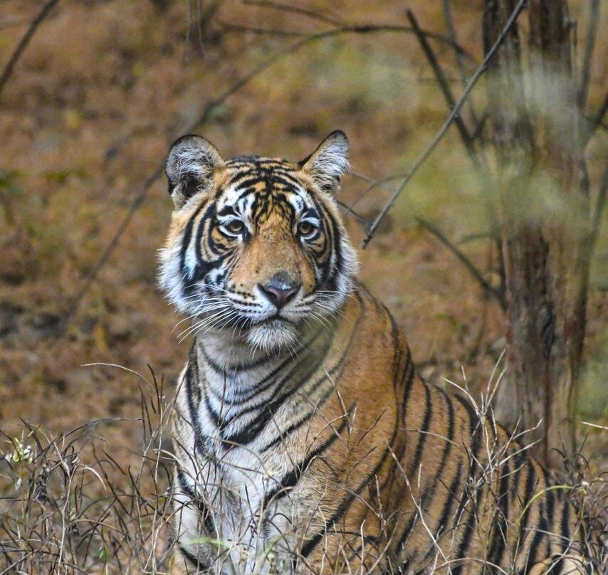 Monkfoot Travels Pvt Ltd-诺伊达必去景点