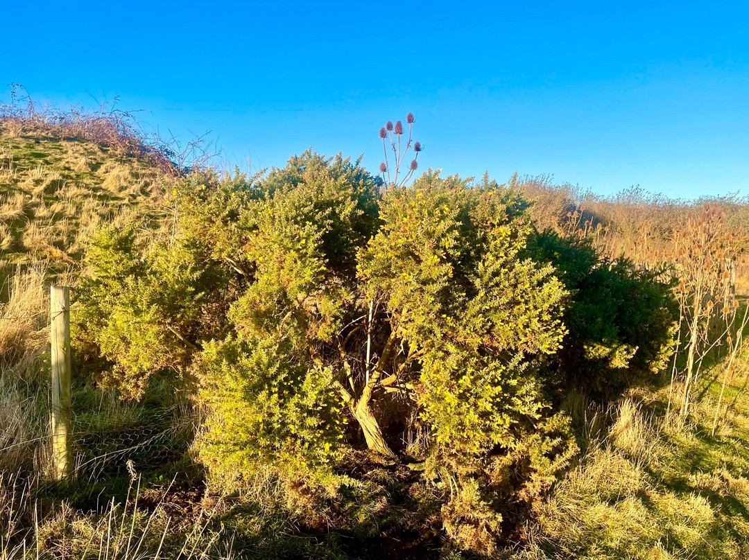 Riverside Nature Park-敦提必去景点