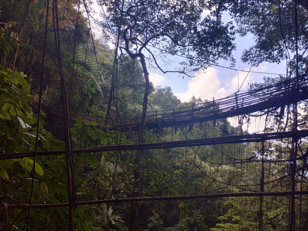 Meghalaya Eco-Tourism景点图片