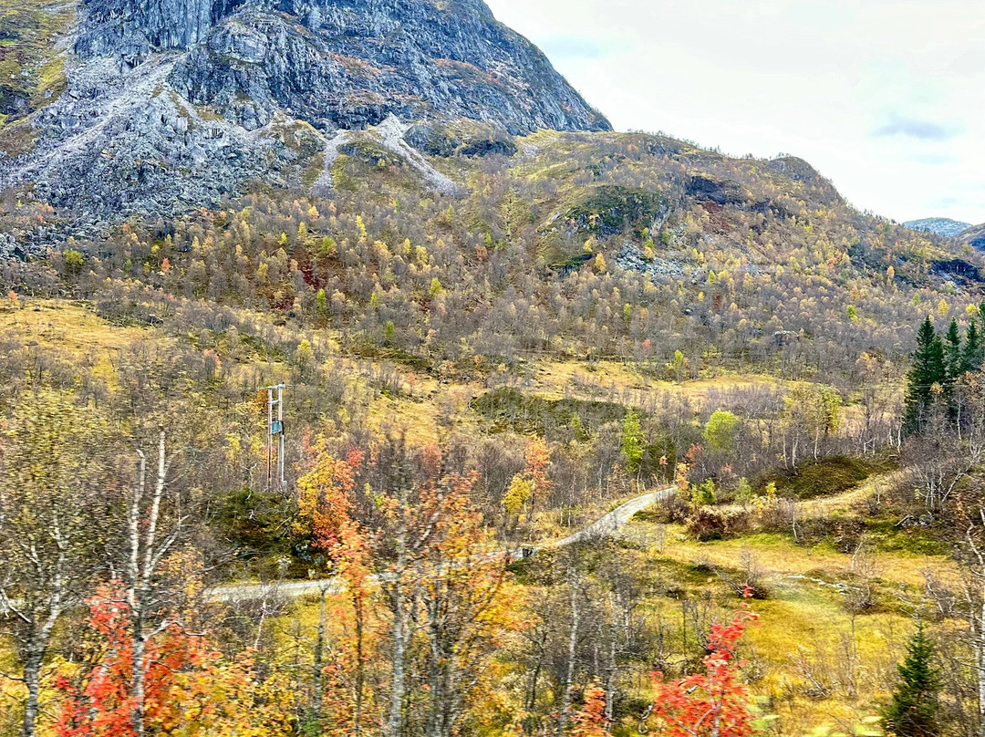 Bergen to Oslo Train Ride景点图片