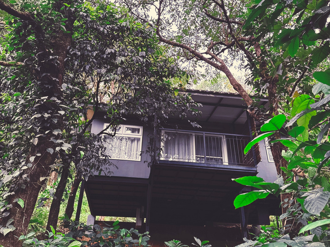 Wayanad Wild, CGH Earth主图