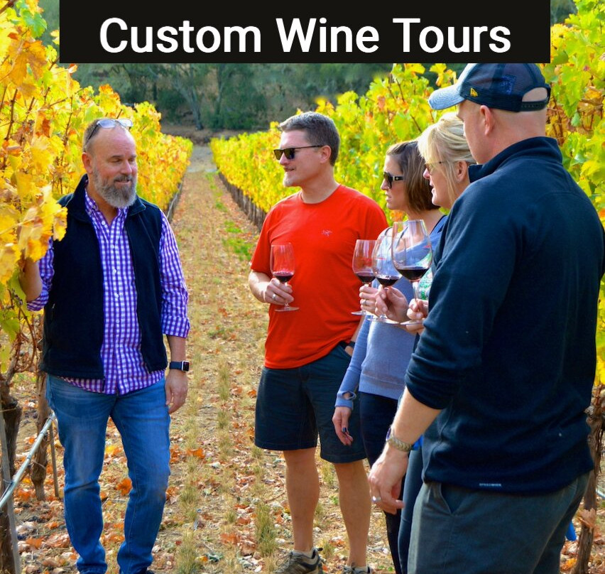 Active Wine Adventures-纳帕必去景点