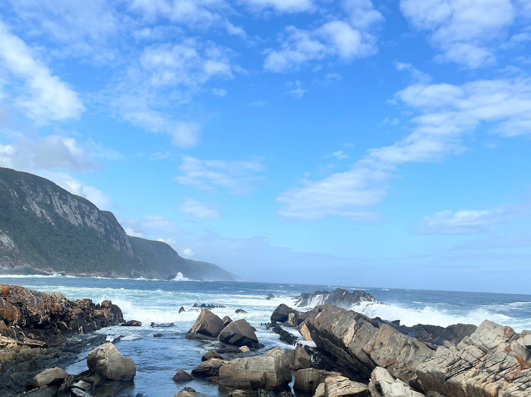 Wilderness Express Tours & Transfers-荒野必去景点