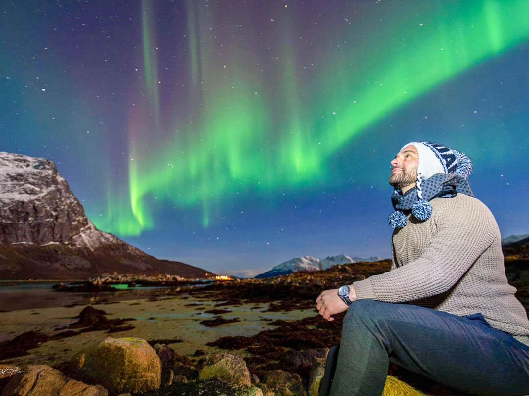 Northern Lights Safari景点图片