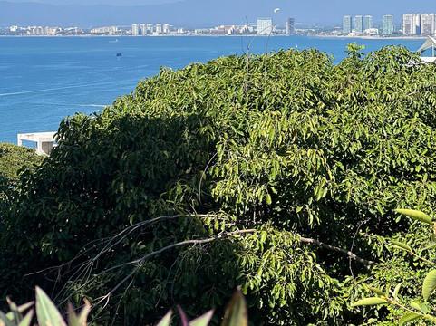 Superior Tours Vallarta-瓦拉塔港必去景点