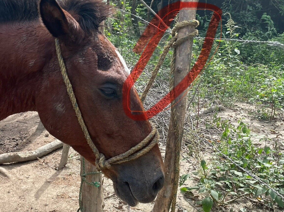 Parque Nacional Natural Tayrona-Puerto Colombia必去景点