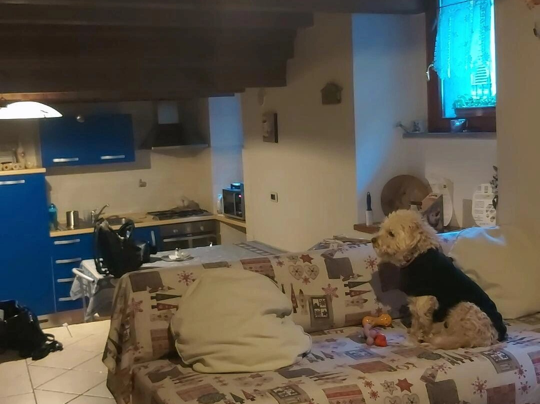 B&B Vecchio Torchio主图