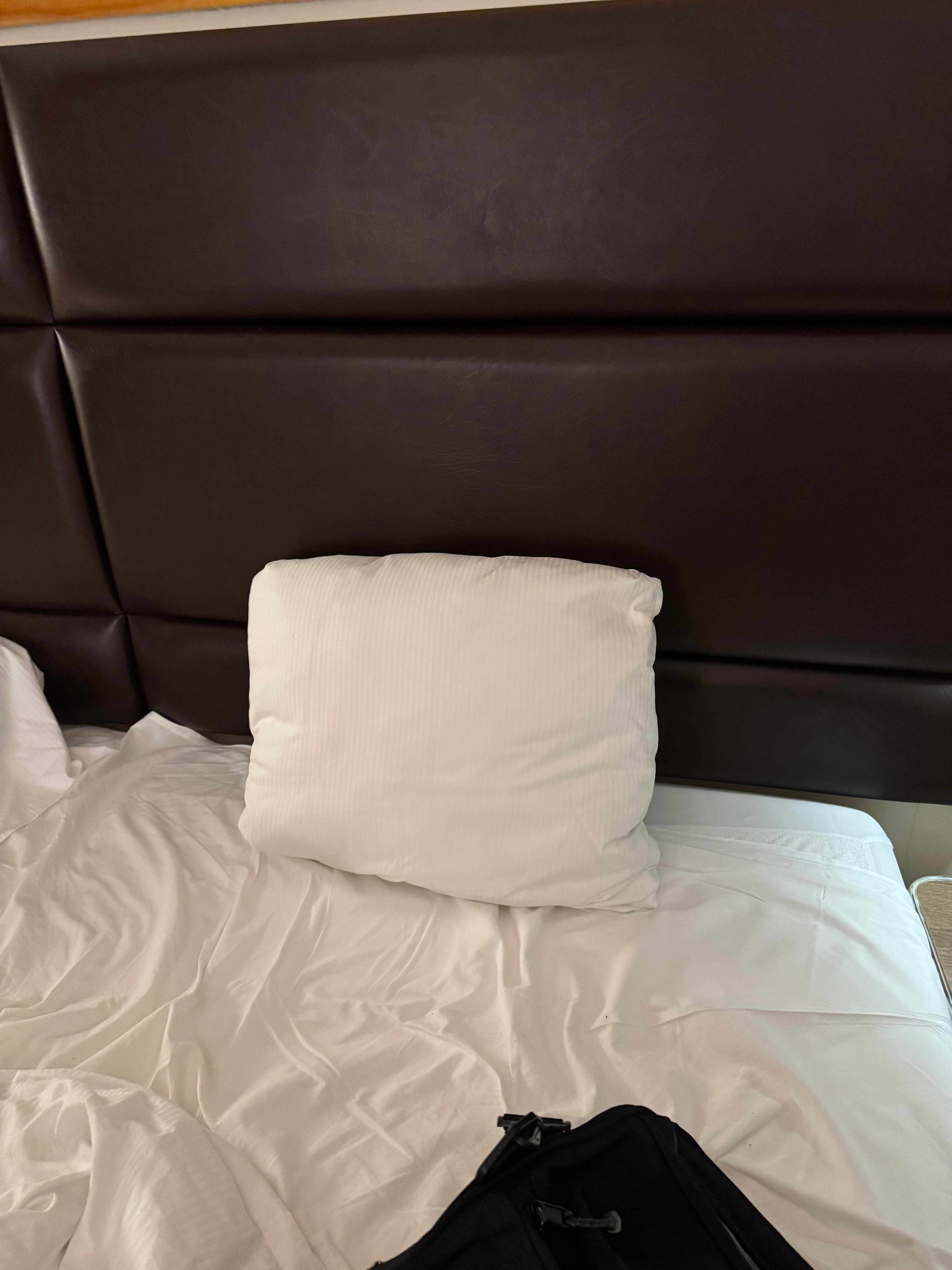 Best Western Zaan Inn-客卧