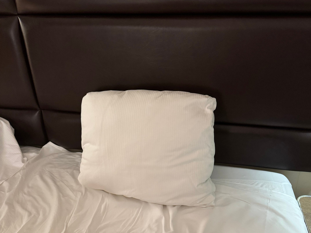 Best Western Zaan Inn主图