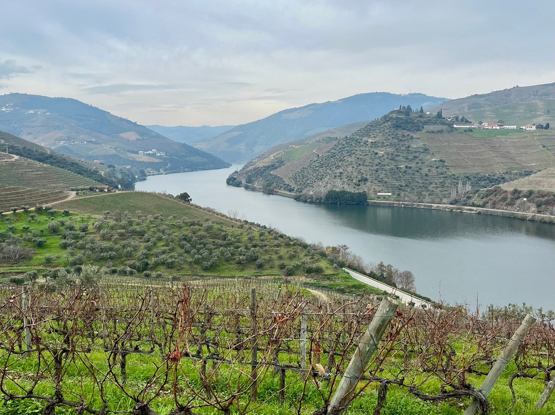 Quinta de S. Luíz-Tabuaco必去景点