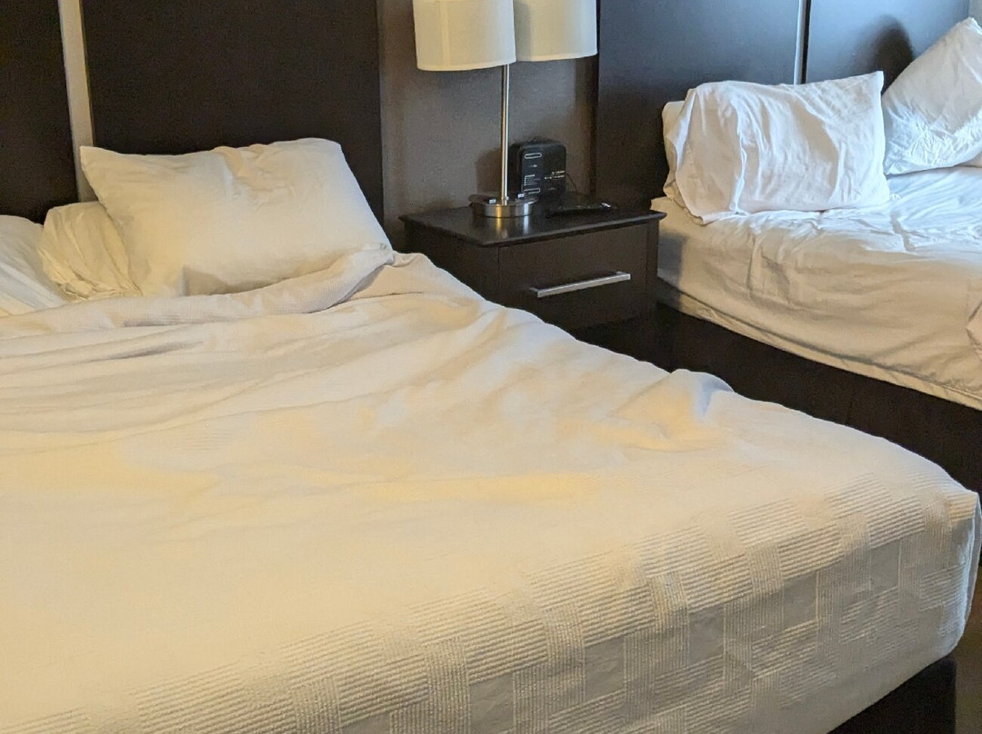 Best Western Harvest Inn & Suites主图