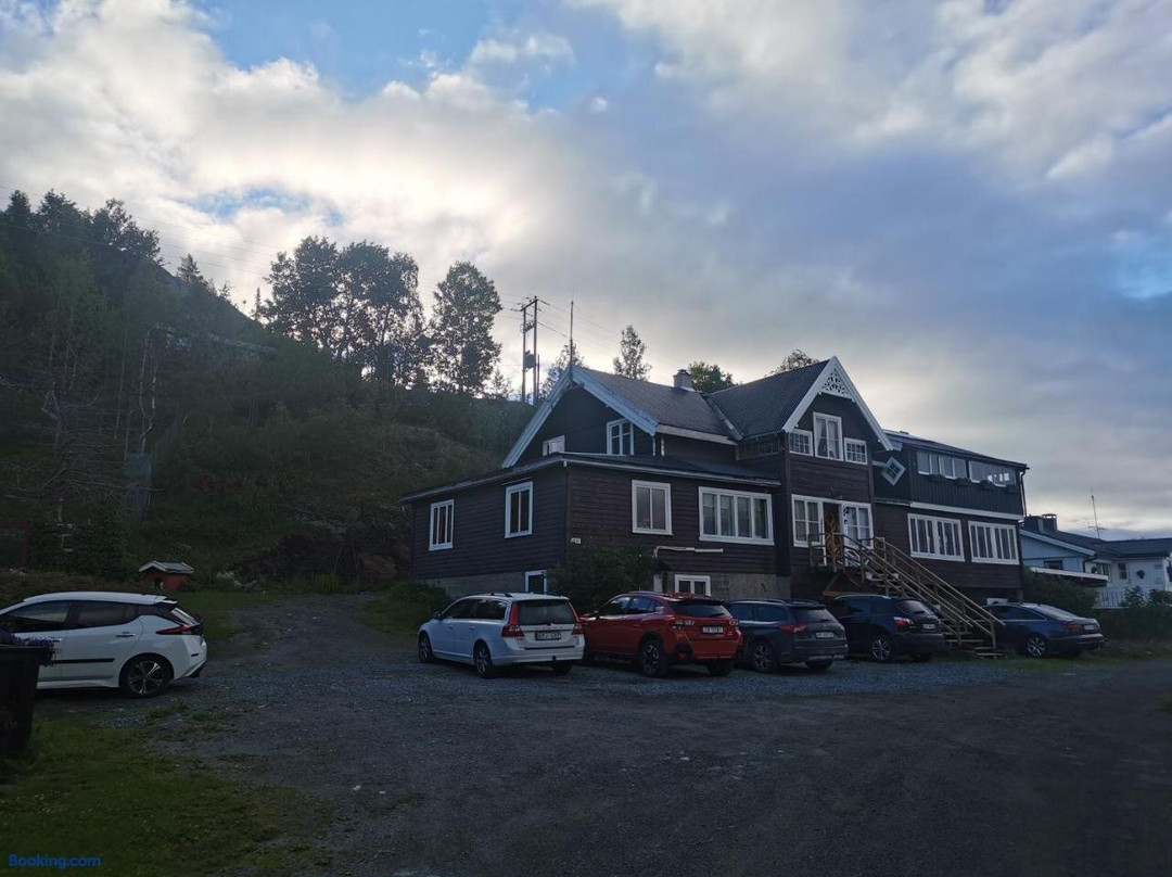 Golsfjellet旅游攻略图片