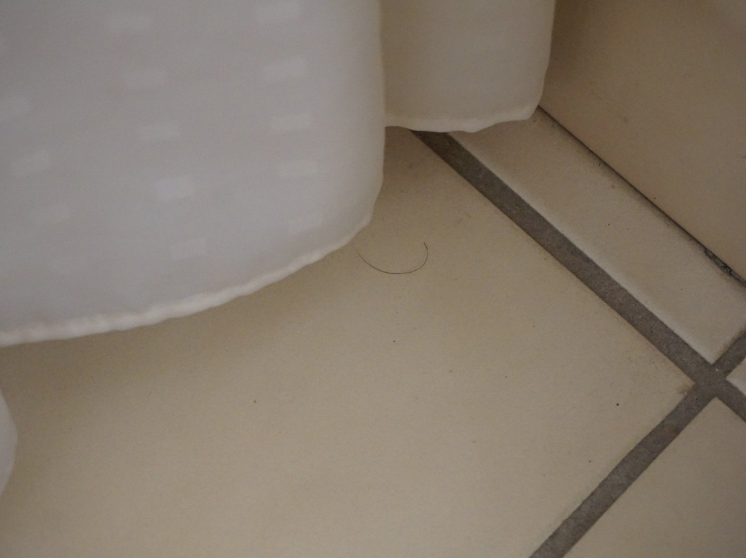 Holiday Inn Express Charleston-civic Center By IHG主图