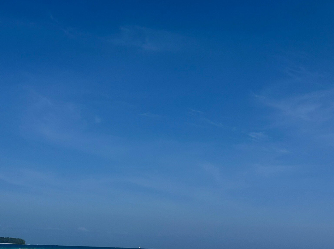 Snorkelling Zanzibar Tours Company Limited-石头城必去景点