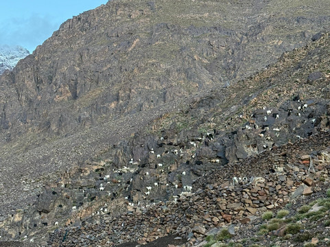 Atlas toubkal view-伊姆利勒必去景点