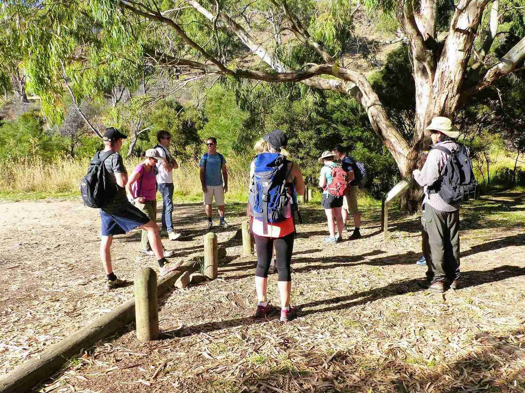 Hike Tribe-墨尔本必去景点