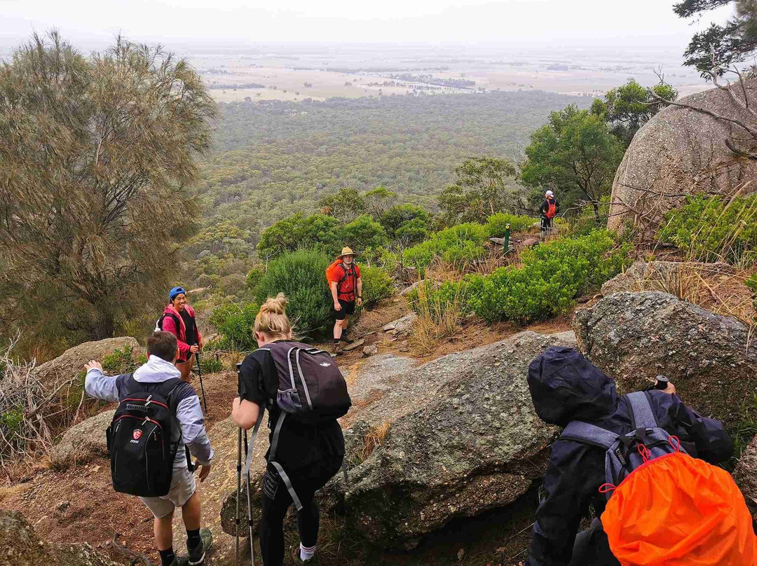 Hike Tribe-墨尔本必去景点