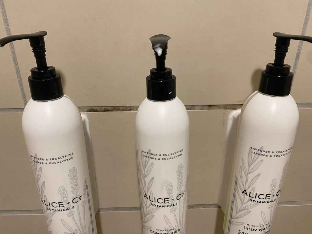 SpringHill Suites by Marriott Green Bay主图