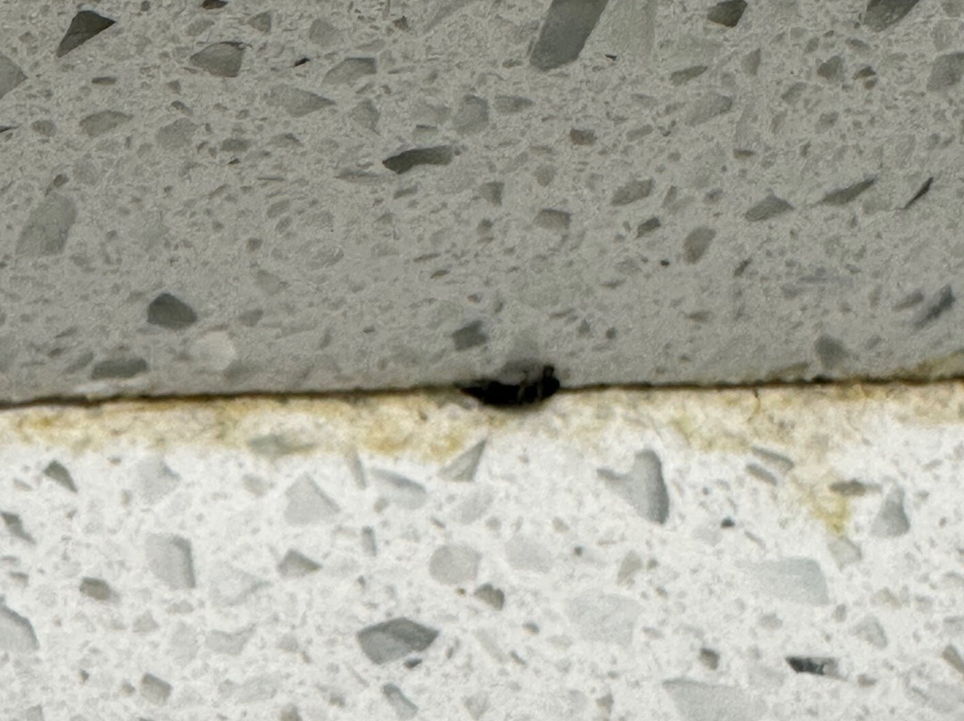 Days Inn by Wyndham Shallotte主图