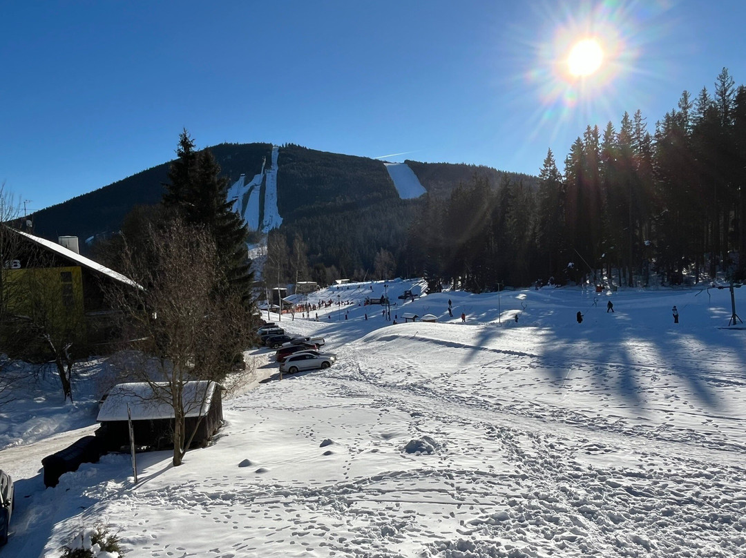Wellness Hotel Šédý Vlk