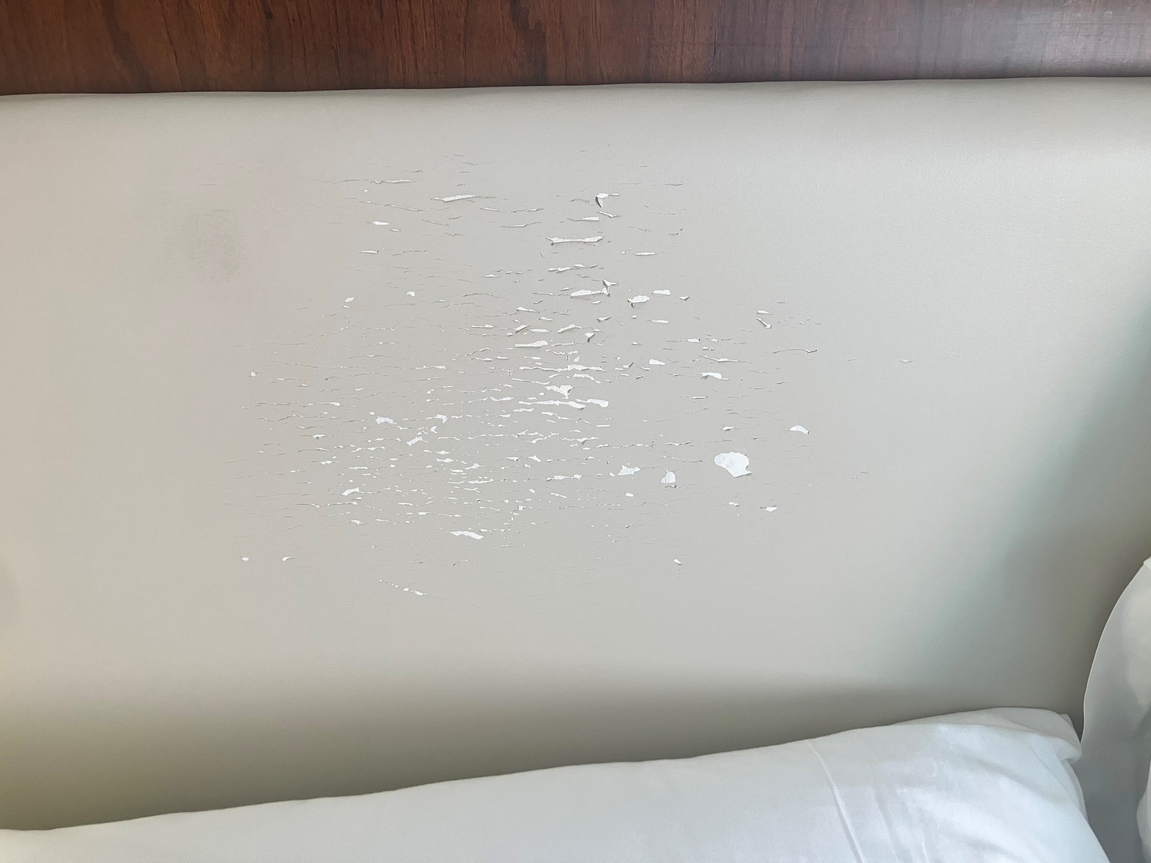 Marriott at the University of Dayton-客卧