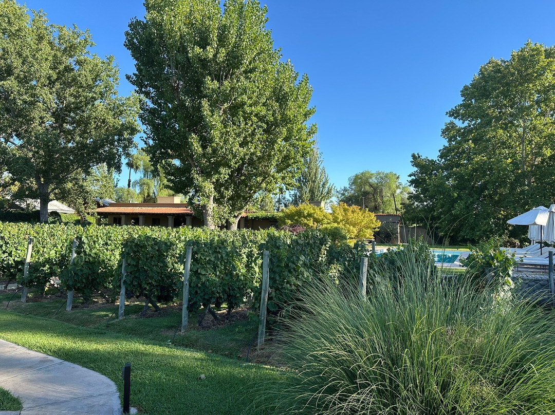 Posada Verde Oliva主图